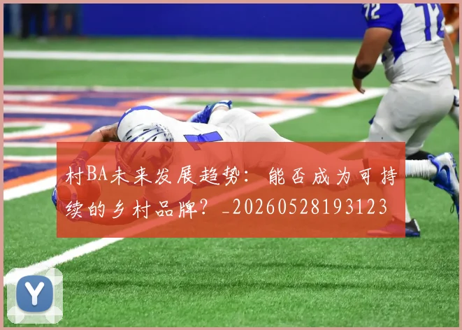 村BA未来发展趋势：能否成为可持续的乡村品牌？_20260528193123